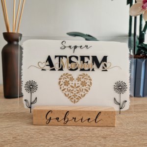 Les Plaques plaque "super atsem"