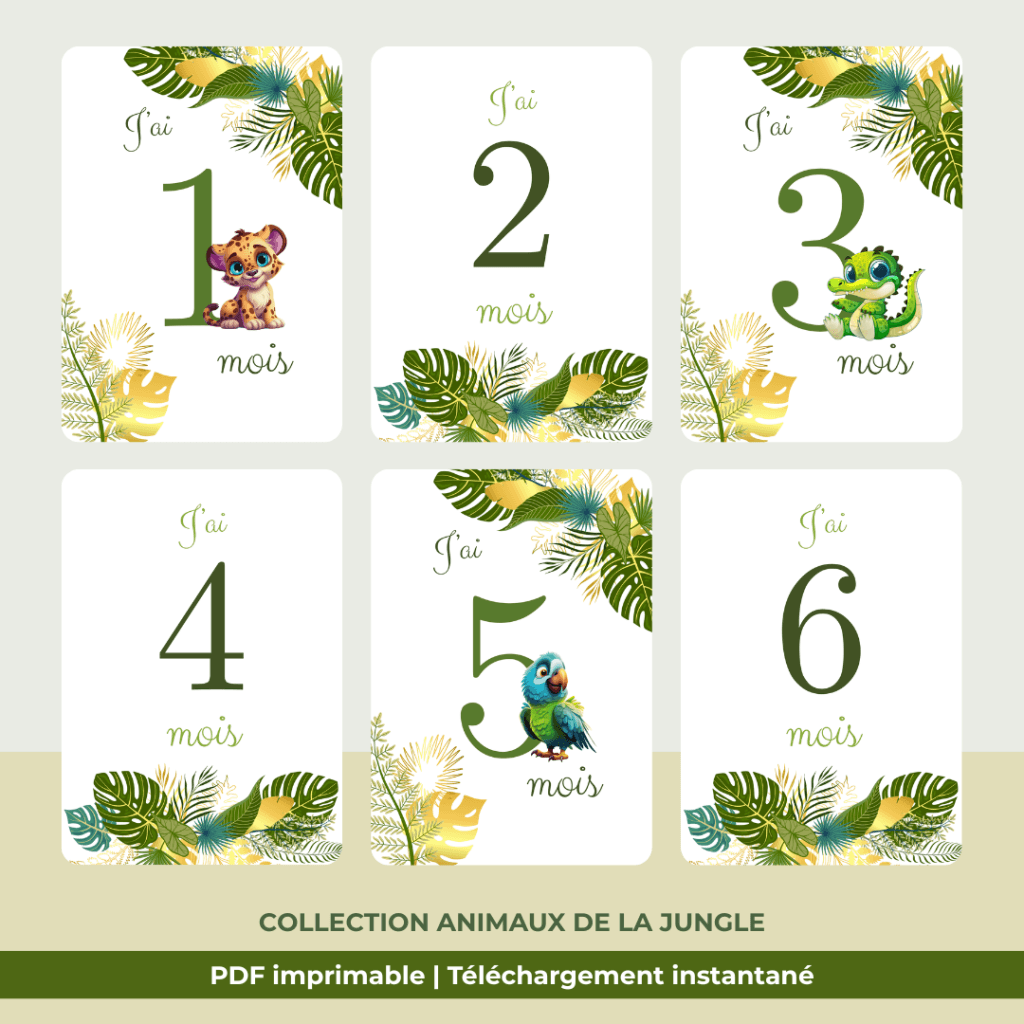 cartes Étapes bébé & premières fois (copie)