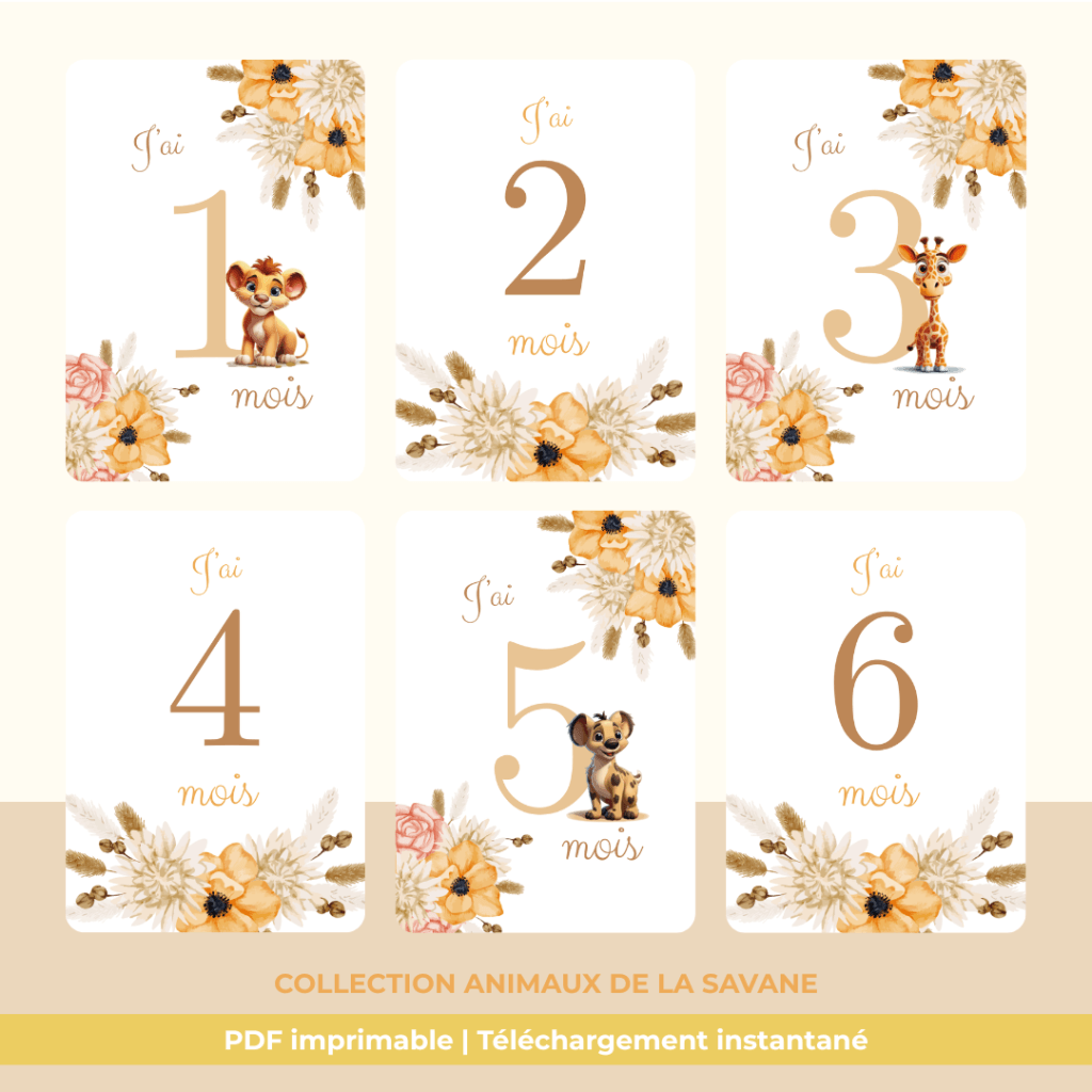 cartes Étapes bébé & premières fois